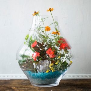 Tall Drop Terrarium