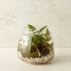 Polished Drop Terrarium