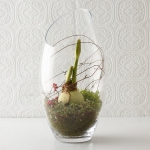 Terrariums